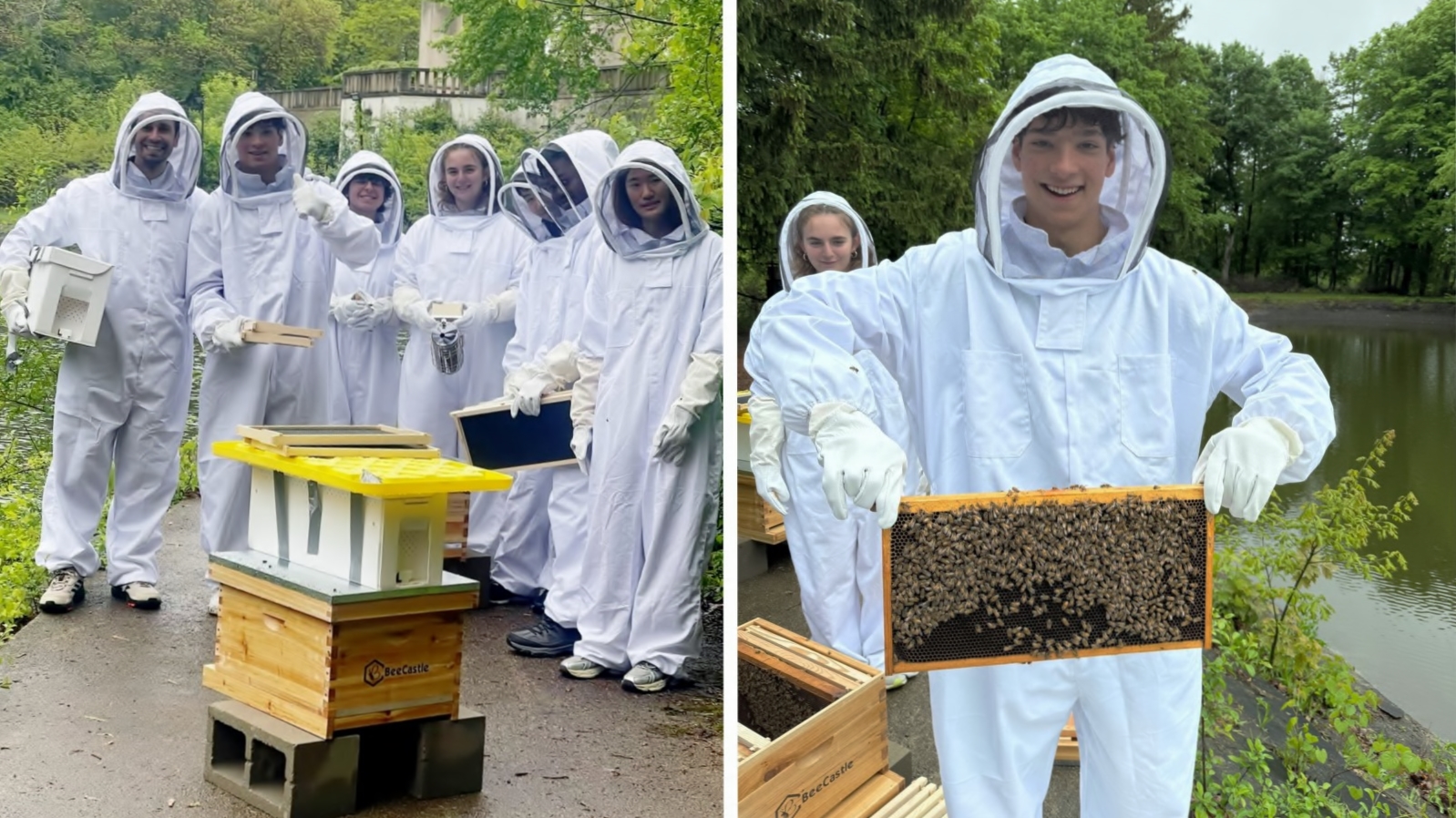 Bee on Campus Project